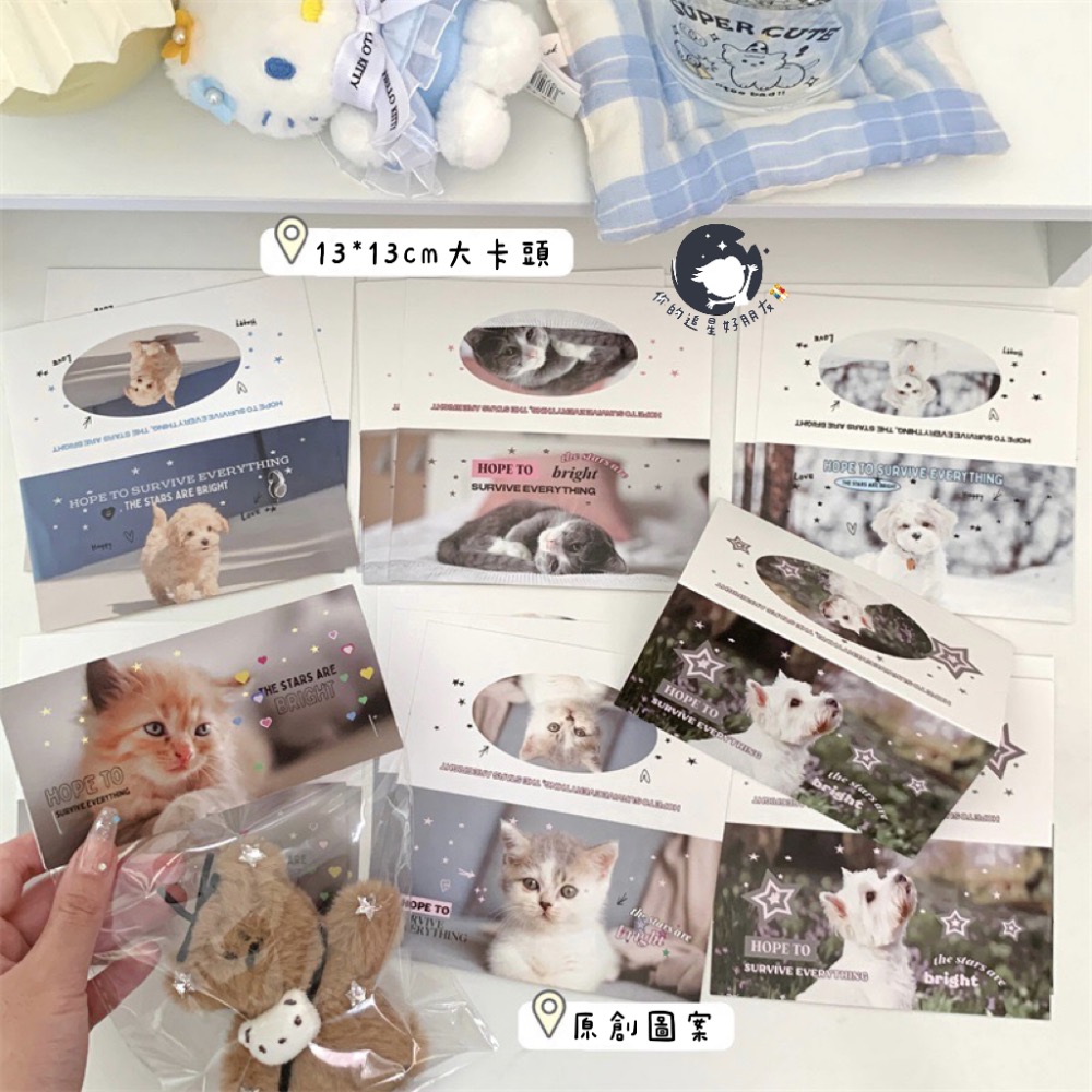 （🆕）原創可愛小動物 貓咪小狗 寵物大卡頭 偶像明星愛豆專輯小卡 打包材料 追星包裝 飾品出卡 追星必備-細節圖4