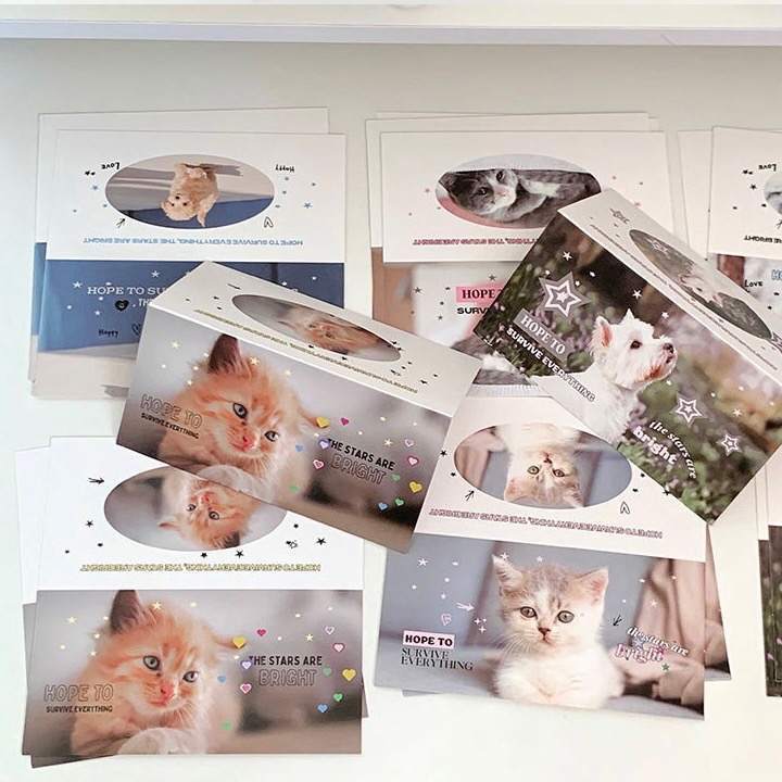 （🆕）原創可愛小動物 貓咪小狗 寵物大卡頭 偶像明星愛豆專輯小卡 打包材料 追星包裝 飾品出卡 追星必備-細節圖6