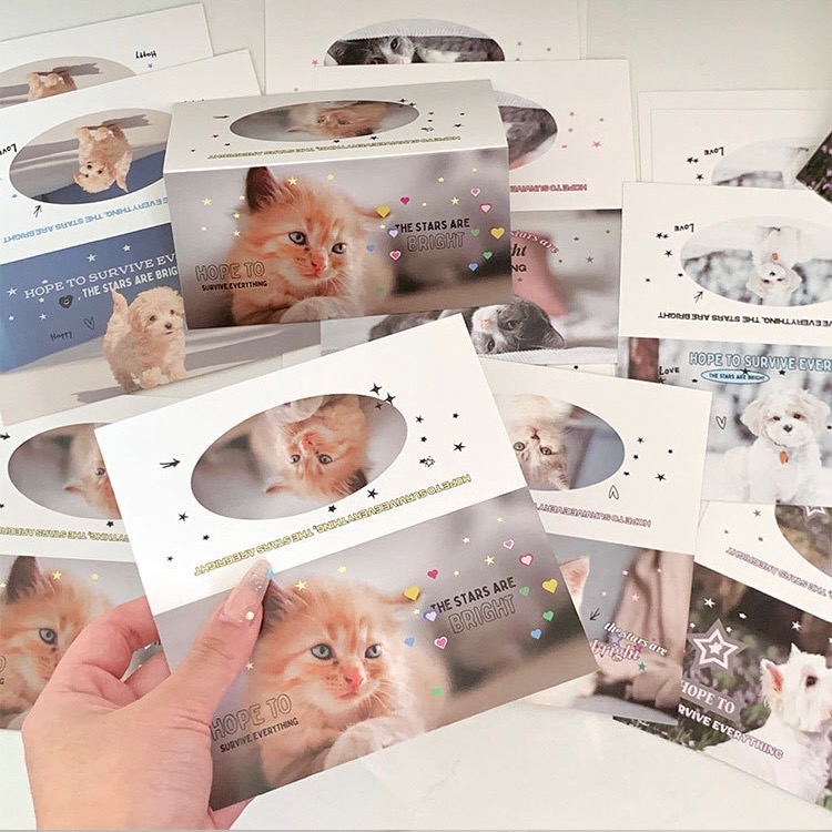 （🆕）原創可愛小動物 貓咪小狗 寵物大卡頭 偶像明星愛豆專輯小卡 打包材料 追星包裝 飾品出卡 追星必備-細節圖7