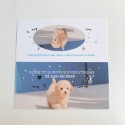 （🆕）原創可愛小動物 貓咪小狗 寵物大卡頭 偶像明星愛豆專輯小卡 打包材料 追星包裝 飾品出卡 追星必備-規格圖7