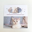 （🆕）原創可愛小動物 貓咪小狗 寵物大卡頭 偶像明星愛豆專輯小卡 打包材料 追星包裝 飾品出卡 追星必備-規格圖7