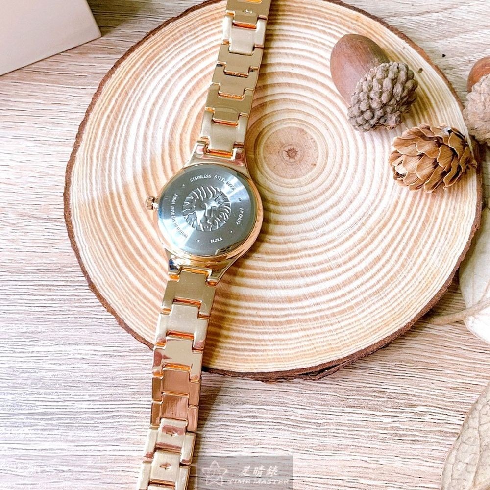 AnneKlein:手錶,型號:AN00216,女錶28mm玫瑰金錶殼玫瑰金色錶面精鋼錶帶款-細節圖7