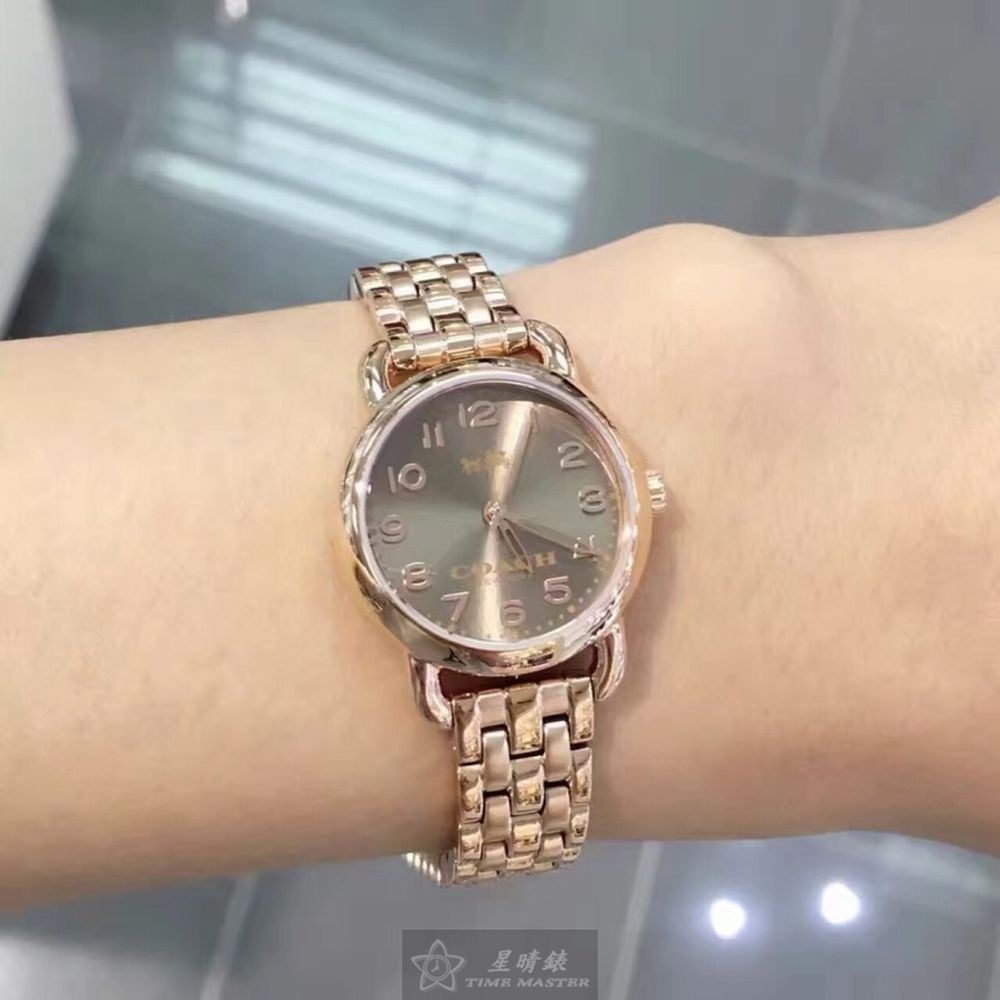 COACH:手錶,型號:CH00111,女錶24mm玫瑰金錶殼玫瑰金色錶面精鋼錶帶款-細節圖3