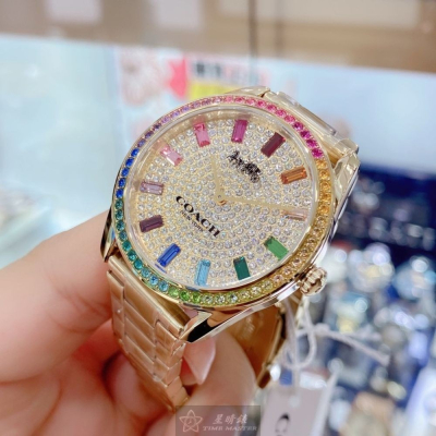 COACH:手錶,型號:CH00136,女錶36mm彩色錶殼糖豆錶面精鋼錶帶款