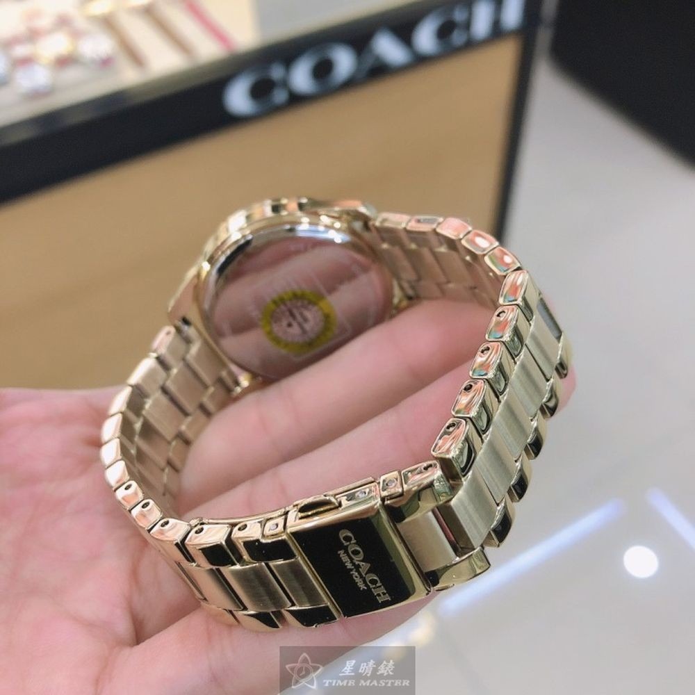 COACH:手錶,型號:CH00136,女錶36mm彩色錶殼糖豆錶面精鋼錶帶款-細節圖6