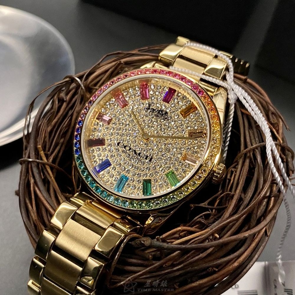 COACH:手錶,型號:CH00136,女錶36mm彩色錶殼糖豆錶面精鋼錶帶款-細節圖7