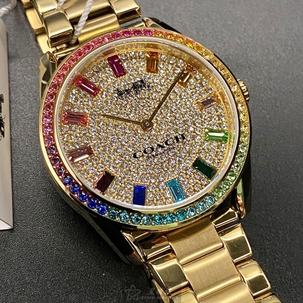 COACH:手錶,型號:CH00136,女錶36mm彩色錶殼糖豆錶面精鋼錶帶款-細節圖9