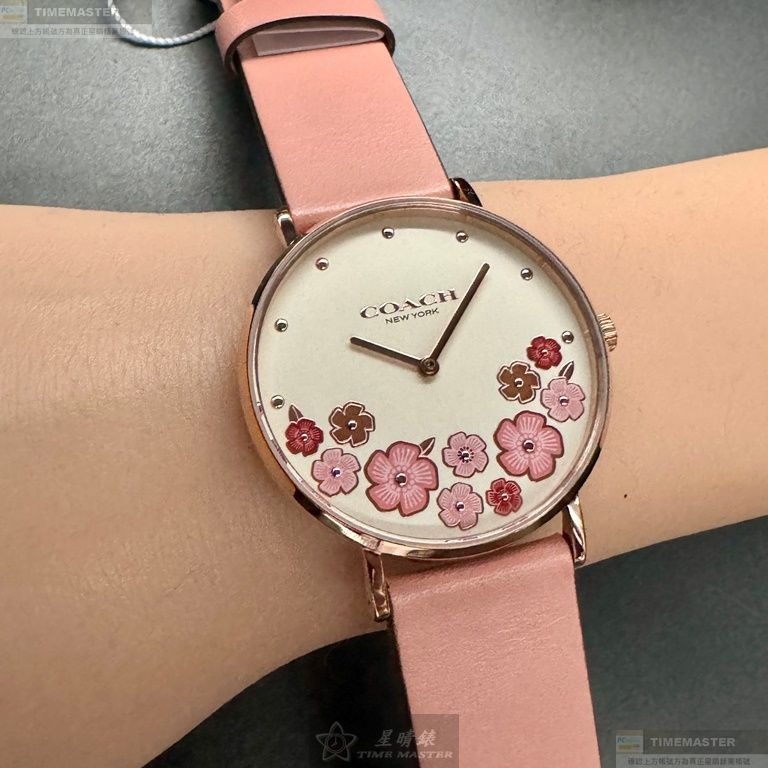 COACH手錶,編號CH00204,36mm玫瑰金圓形精鋼錶殼,白色中二針顯示, 山茶花錶面,粉紅真皮皮革錶帶款-細節圖7