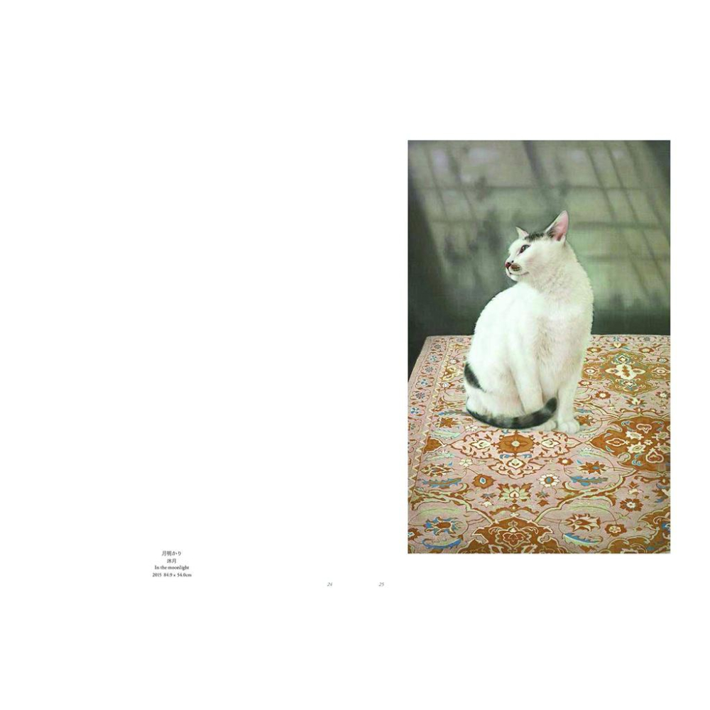 [代訂]陳珮怡画集 猫さえいれば 9784861526992-細節圖9