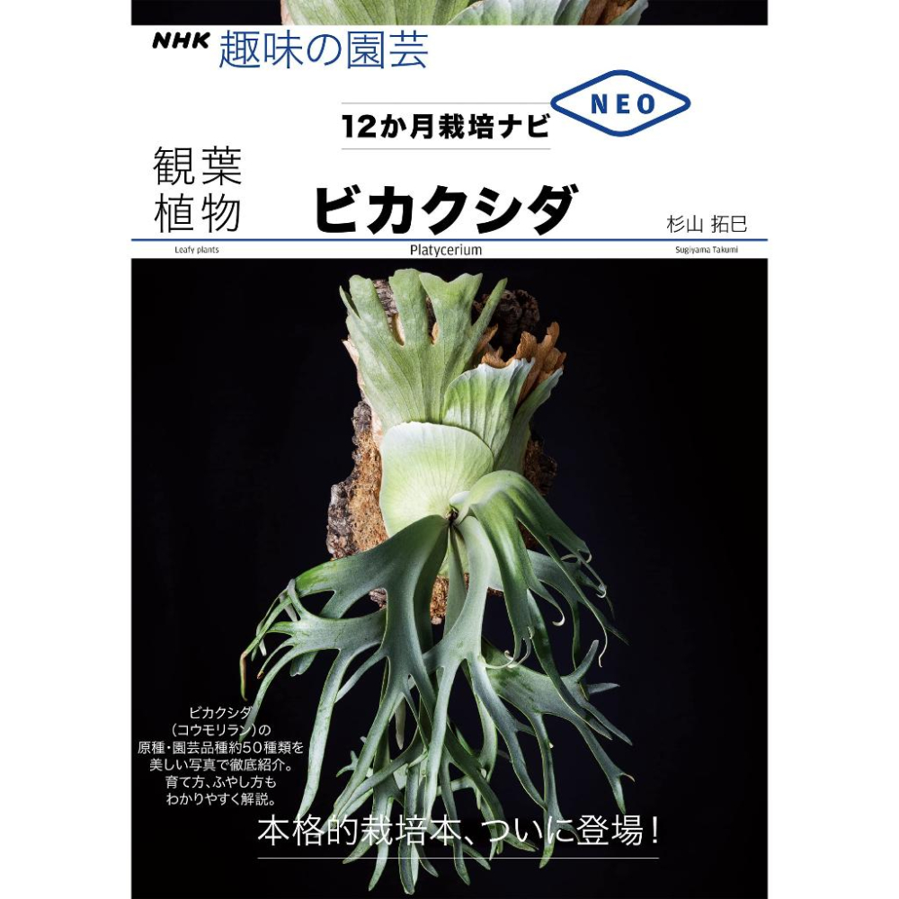 [代訂]多肉植物 栽種技巧 1-6卷 (NHK趣味の園芸 12か月栽培ナビNEO) 9784140402962-細節圖6