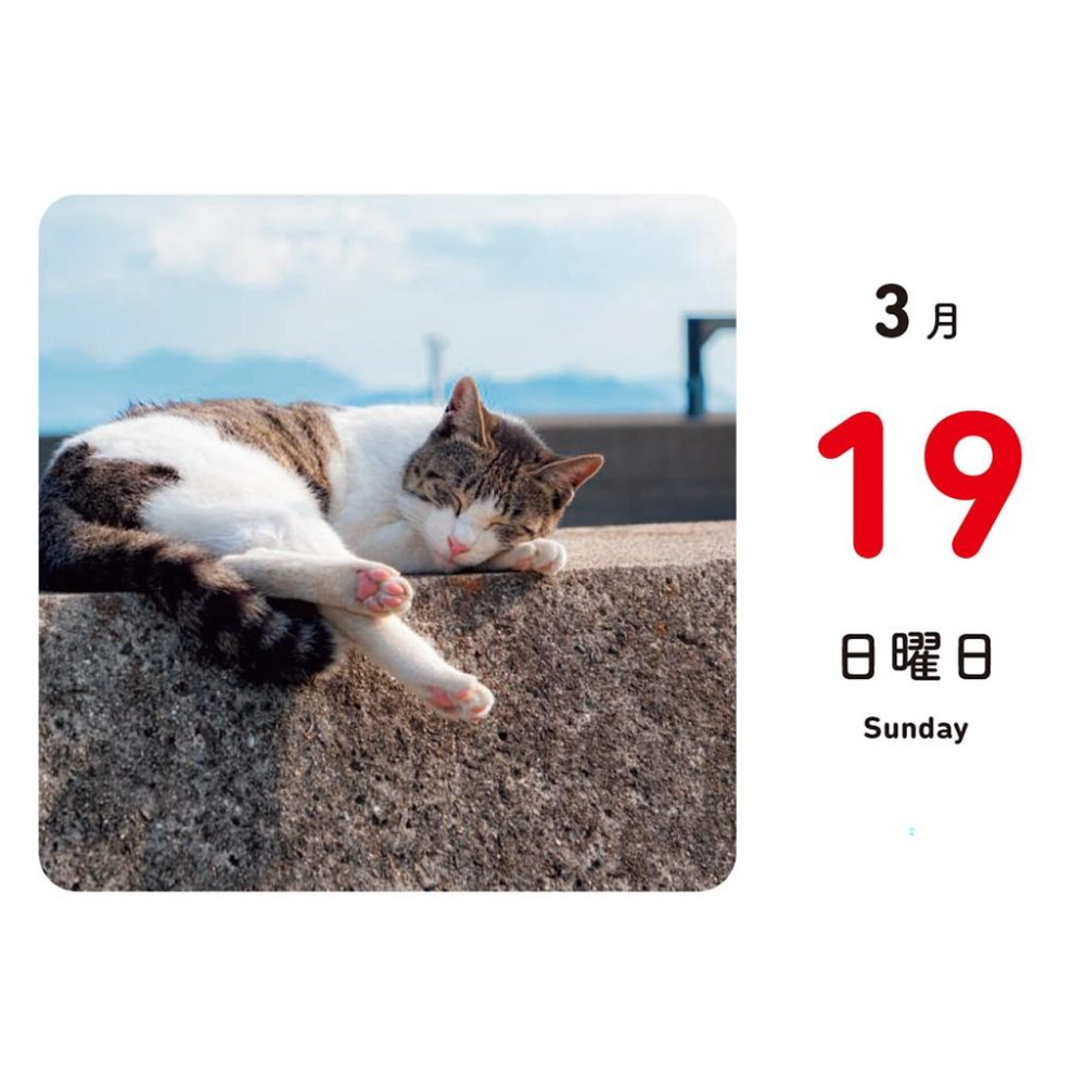 [代訂]ほっこりゆったり毎日島猫  2023年月曆  9784798176291-細節圖5