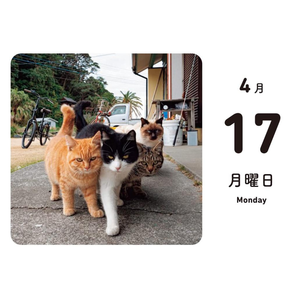 [代訂]ほっこりゆったり毎日島猫  2023年月曆  9784798176291-細節圖6