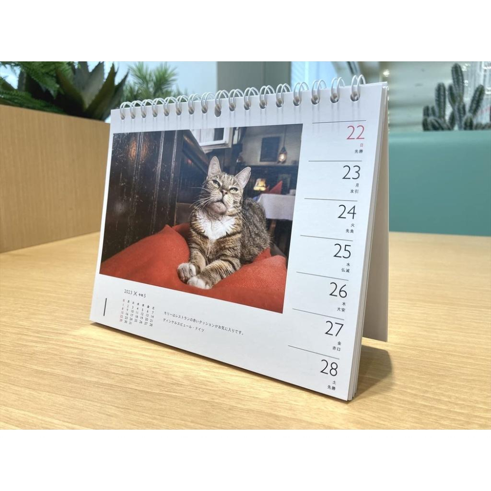 [代訂]カレンダー2023日文月曆 岩合光昭×ねこ (週めくり卓上・リング)9784635860529-細節圖6