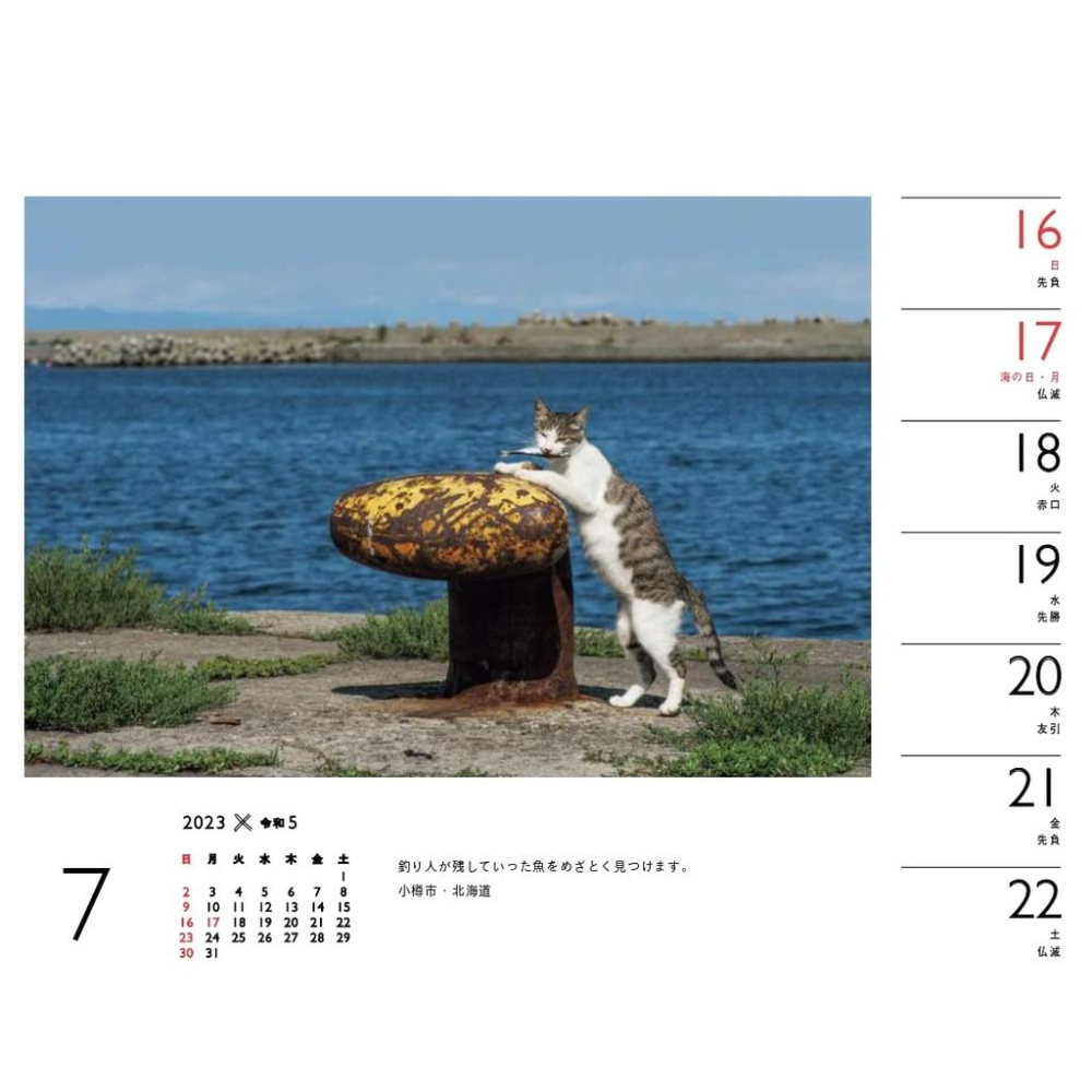 [代訂]カレンダー2023日文月曆 岩合光昭×ねこ (週めくり卓上・リング)9784635860529-細節圖9