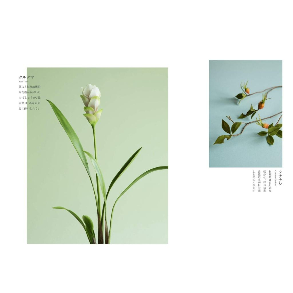 [代訂]樹脂黏土初學製作はじめての粘土アート花草作品手藝集：小巧花卉與果實9784875865674-細節圖2