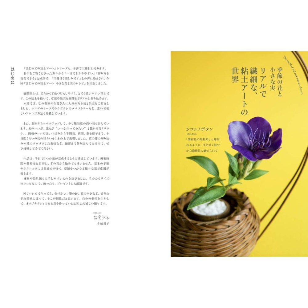 [代訂]樹脂黏土初學製作はじめての粘土アート花草作品手藝集：小巧花卉與果實9784875865674-細節圖5