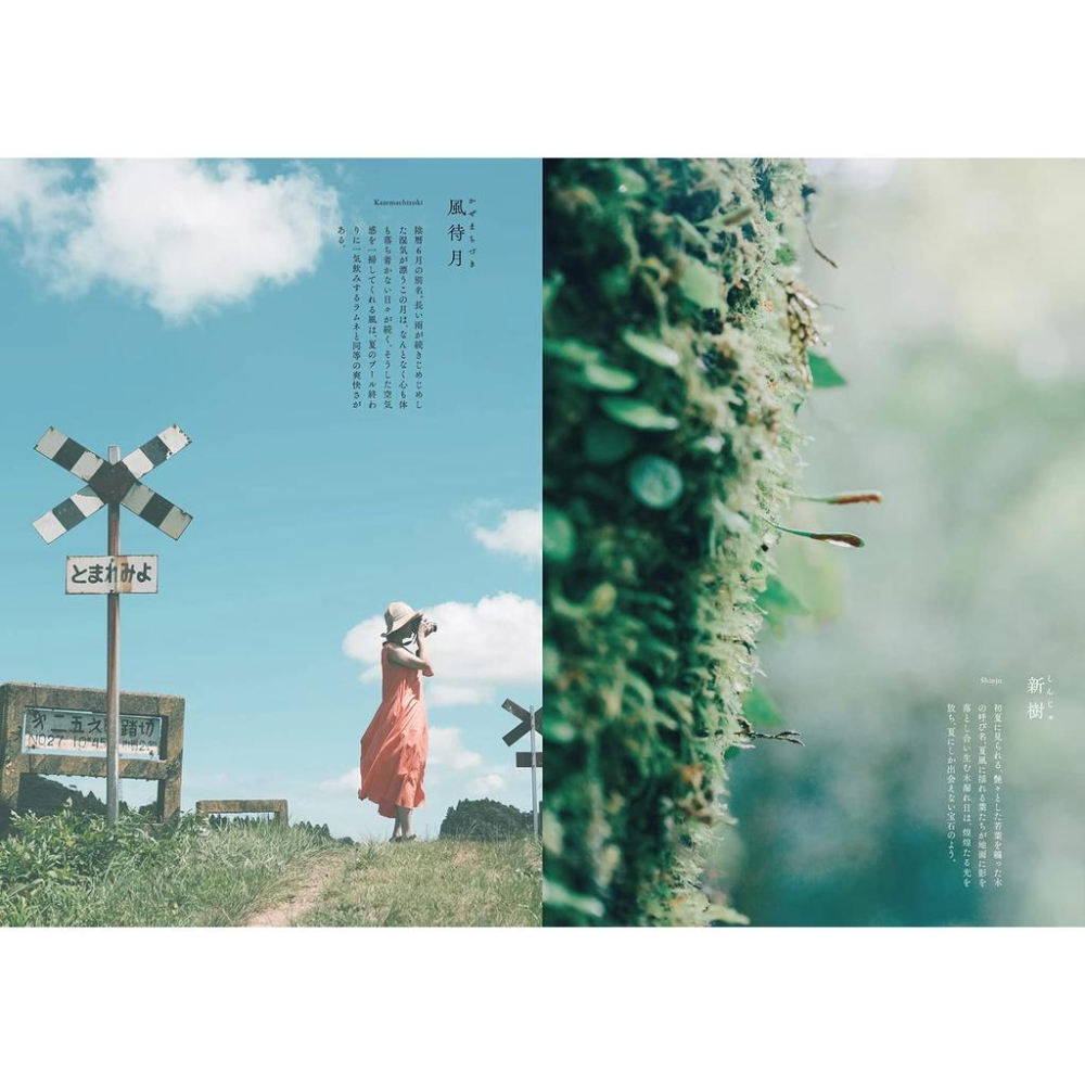 [代訂]雨夜の星をさがして 美しい日本の四季とことばの辞典 9784768316641-細節圖7