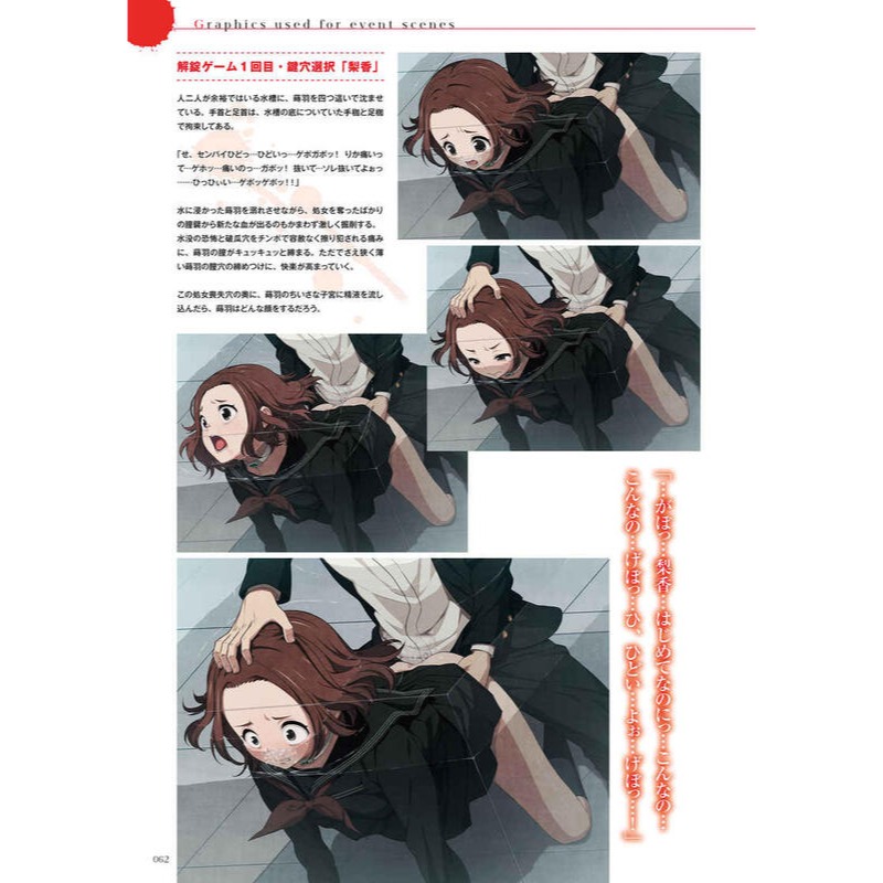 euphoria ビジュアルファンブック 美品