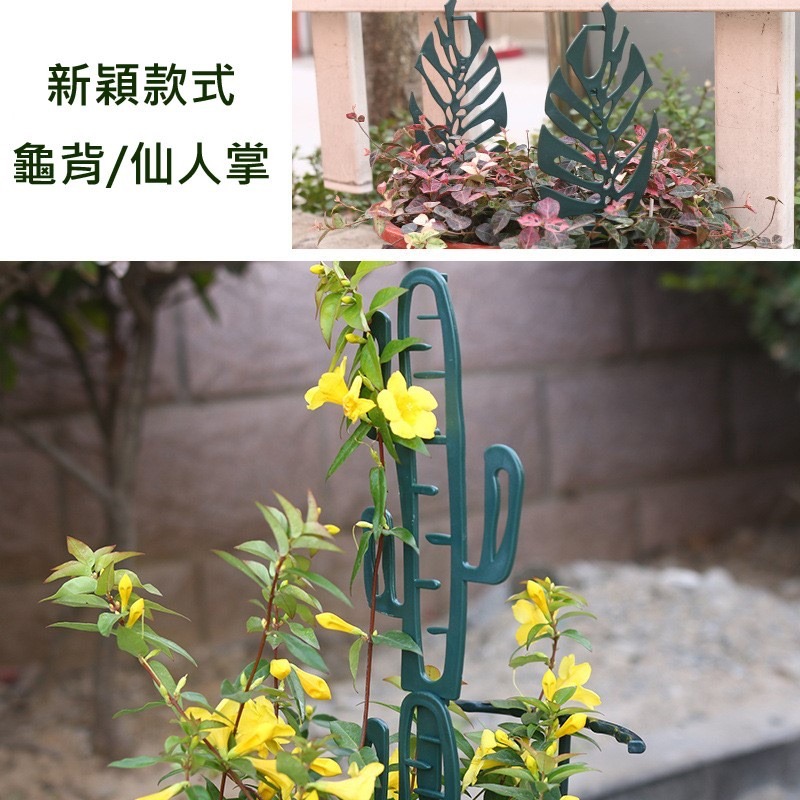 【Fm時尚家居】 園藝 園藝裝飾 植物支撐架 爬藤支架   植物花架 爬藤花架  龜背 仙人掌(2支/組)-細節圖2