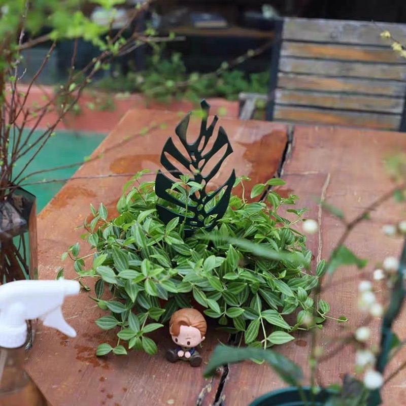 【Fm時尚家居】 園藝 園藝裝飾 植物支撐架 爬藤支架   植物花架 爬藤花架  龜背 仙人掌(2支/組)-細節圖8