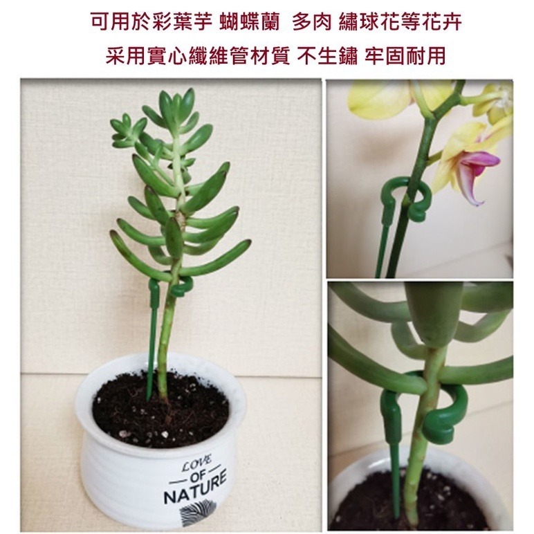 【Fm時尚家居】園藝 園藝用品 植物支撐桿 彩葉芋 蝴蝶蘭多肉防倒扶植支架 爬架 花支柱 固定架-細節圖2