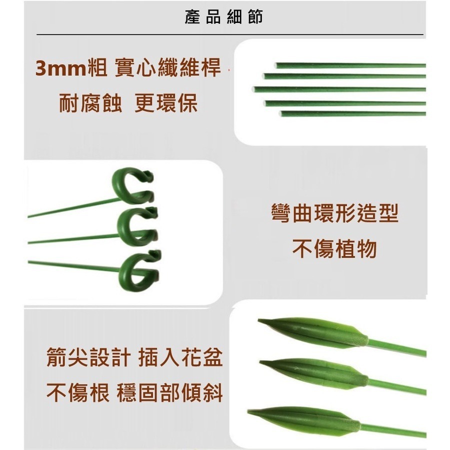 【Fm時尚家居】園藝 園藝用品 植物支撐桿 彩葉芋 蝴蝶蘭多肉防倒扶植支架 爬架 花支柱 固定架-細節圖6