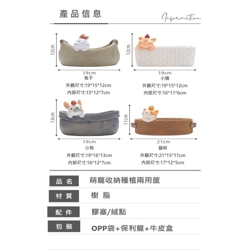 【Fm時尚家居】 多肉花盆  居家收納 動物花盆  zakka創意花盆  桌面收納    居家裝飾-細節圖9