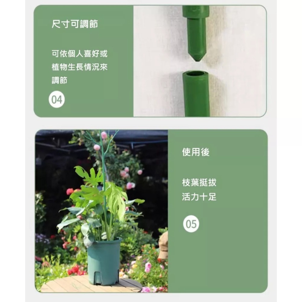 【Fm時尚家居】觀葉植物  龜背芋架 彩葉芋架 植物支撐架 爬藤支撐架 攀藤架 植物支撐桿-細節圖3