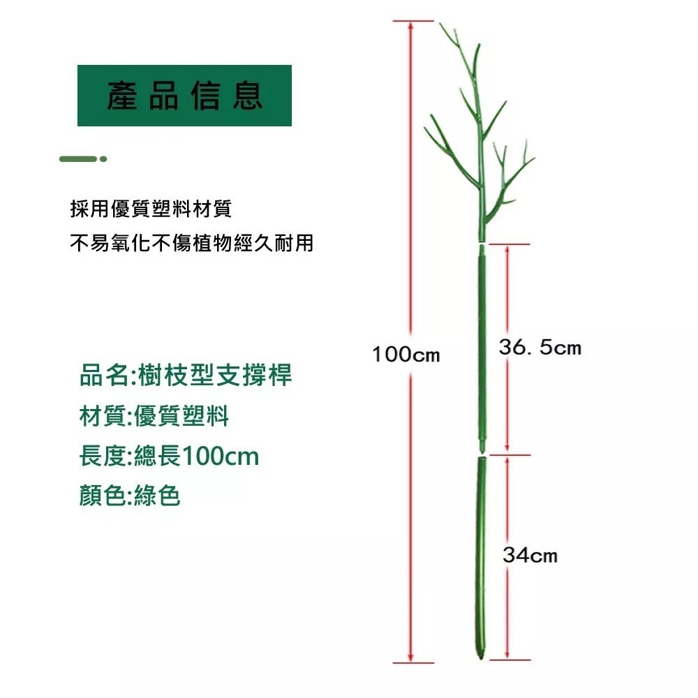 【Fm時尚家居】觀葉植物  龜背芋架 彩葉芋架 植物支撐架 爬藤支撐架 攀藤架 植物支撐桿-細節圖4