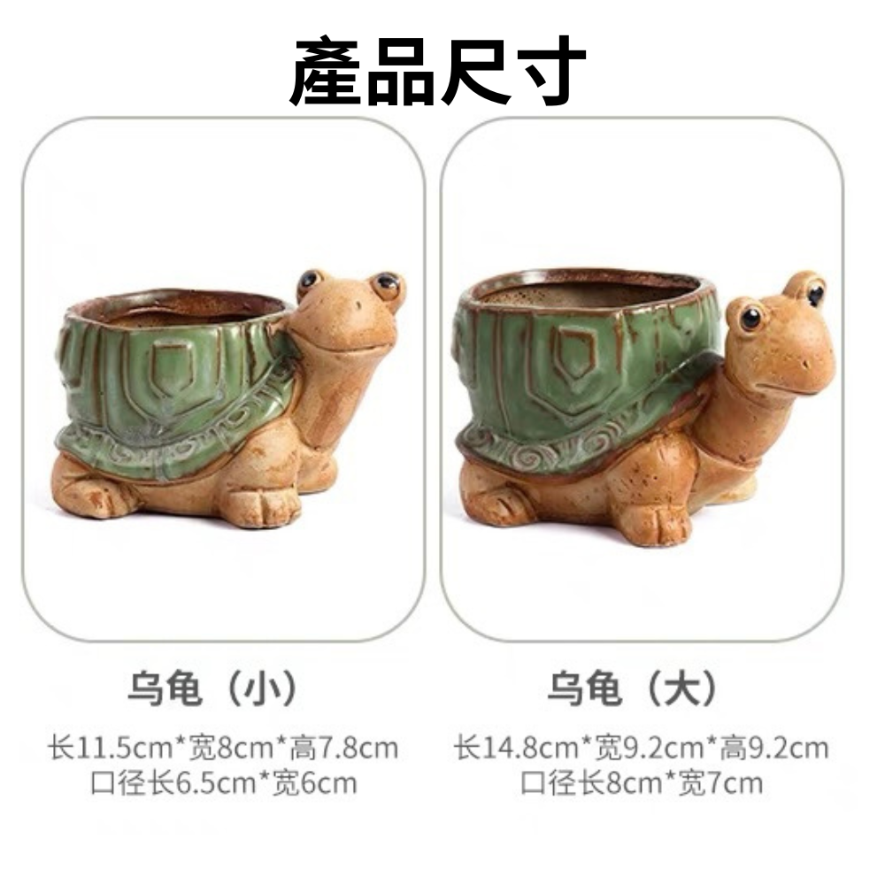 【Fm時尚家居】多肉花盆  烏龜花盆 塊根植物盆器 多肉植物盆器 山烏龜  龜甲龍-細節圖6