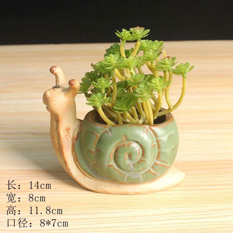 【Fm時尚家居】多肉花盆  烏龜花盆 塊根植物盆器 多肉植物盆器 山烏龜  龜甲龍-細節圖7