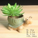 【Fm時尚家居】多肉花盆  烏龜花盆 塊根植物盆器 多肉植物盆器 山烏龜  龜甲龍-規格圖7
