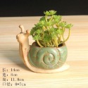 【Fm時尚家居】多肉花盆  烏龜花盆 塊根植物盆器 多肉植物盆器 山烏龜  龜甲龍-規格圖7