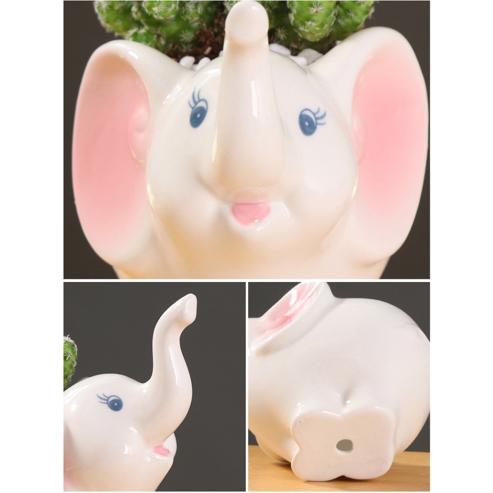 【Fm時尚家居】多肉花盆 陶瓷花盆 仰望母子象 多肉陶瓷花盆（有底洞）-細節圖7