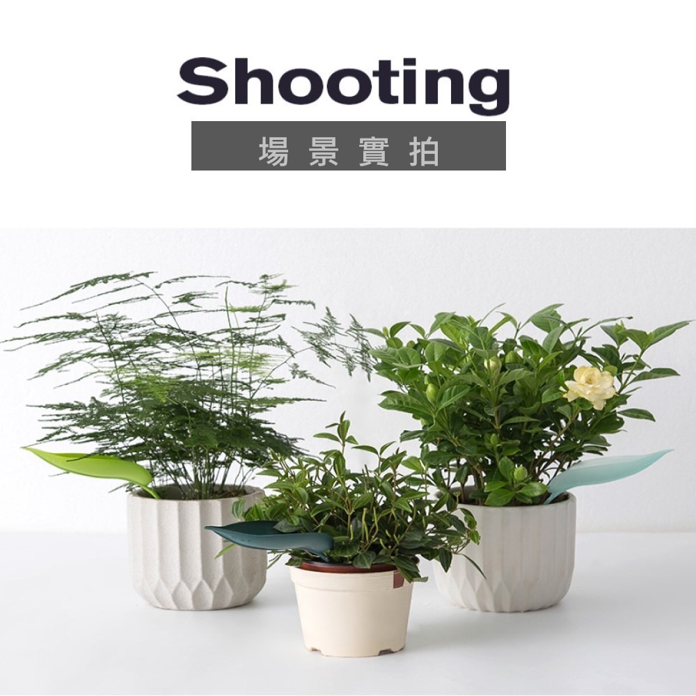 【Fm時尚家居】園藝用品 樹葉漏斗澆水器 盆栽澆水漏斗 植物引流澆水器-細節圖4