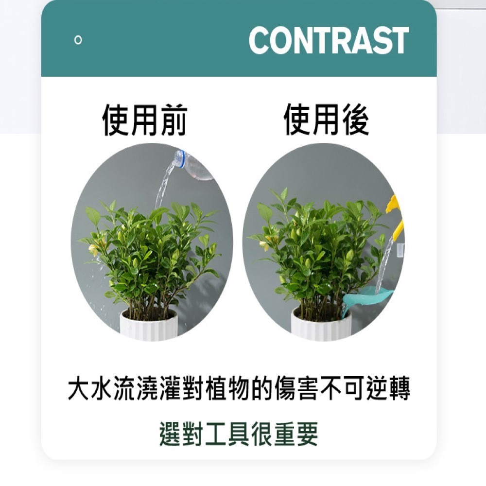 【Fm時尚家居】園藝用品 樹葉漏斗澆水器 盆栽澆水漏斗 植物引流澆水器-細節圖7