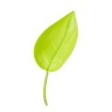 【Fm時尚家居】園藝用品 樹葉漏斗澆水器 盆栽澆水漏斗 植物引流澆水器-規格圖8
