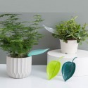 【Fm時尚家居】園藝用品 樹葉漏斗澆水器 盆栽澆水漏斗 植物引流澆水器-規格圖8