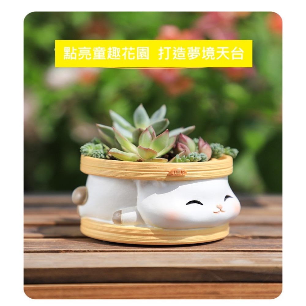 【Fm時尚家居】多肉花盆   樹脂花盆 萌寵吐司花盆   可愛造型花盆  多肉植物花盆-細節圖2