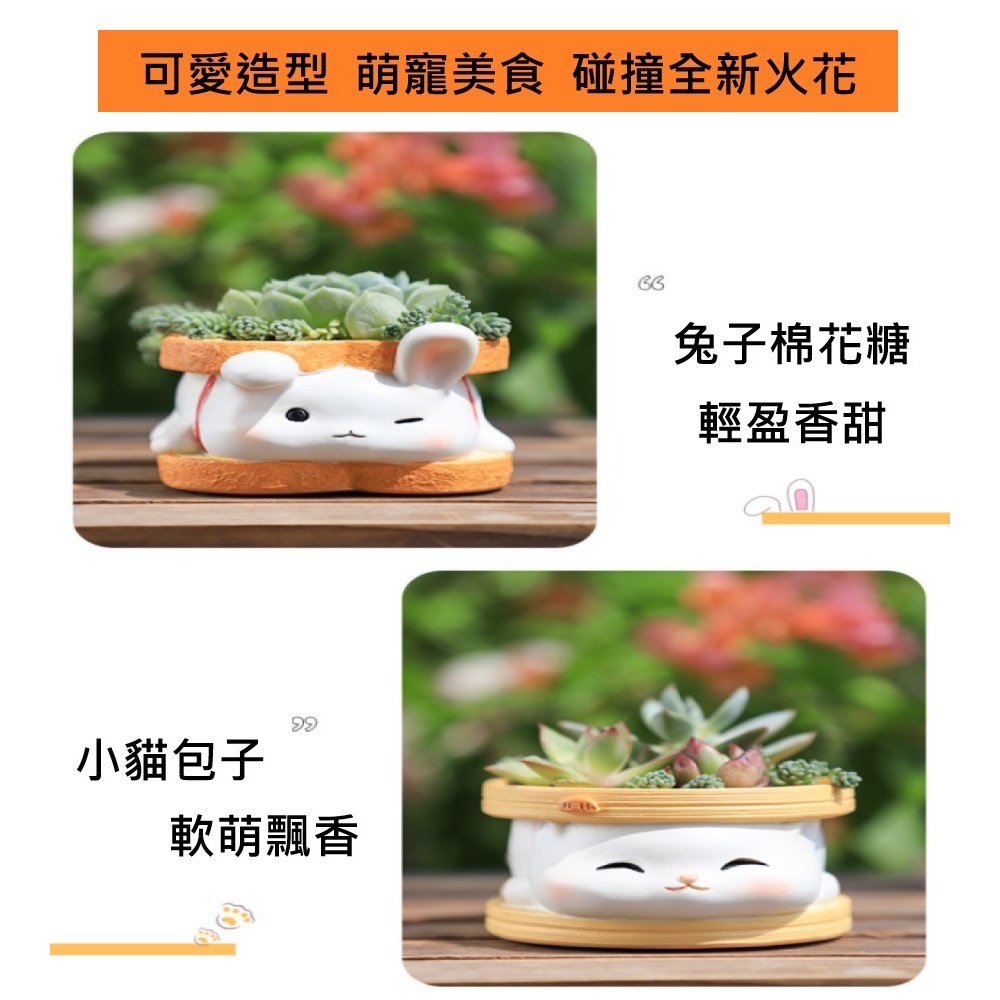 【Fm時尚家居】多肉花盆   樹脂花盆 萌寵吐司花盆   可愛造型花盆  多肉植物花盆-細節圖5