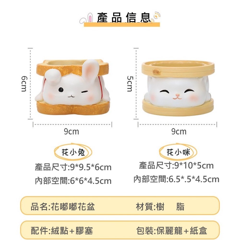 【Fm時尚家居】多肉花盆   樹脂花盆 萌寵吐司花盆   可愛造型花盆  多肉植物花盆-細節圖7