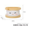 【Fm時尚家居】多肉花盆   樹脂花盆 萌寵吐司花盆   可愛造型花盆  多肉植物花盆-規格圖7