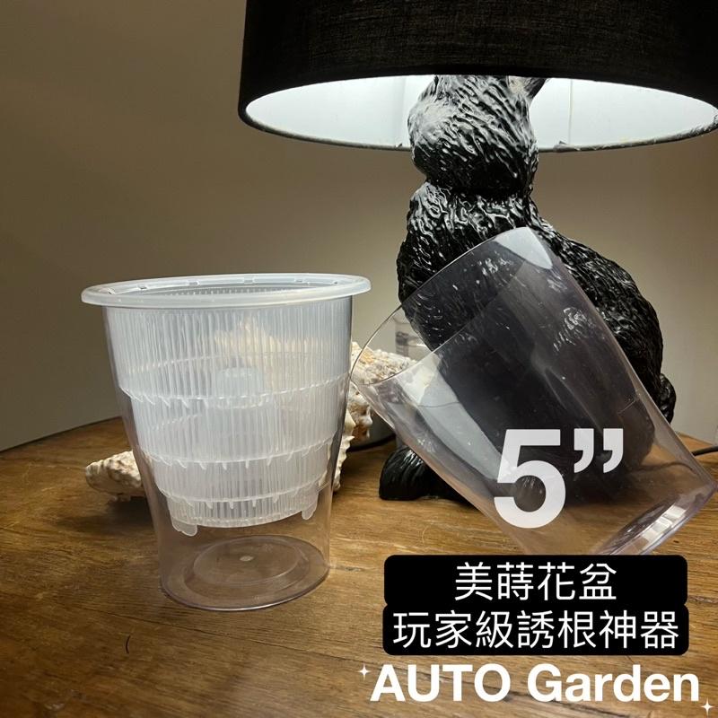 AUTO Garden 誘根神器! 玩家版 象牙宮 象足漆樹 鬼棲閣 熱帶雨林 觀葉植物 龜背芋 插枝 發根-細節圖2