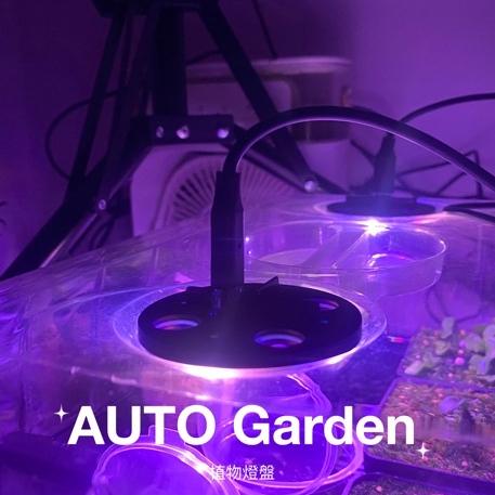 AUTO Garden 現貨! LED燈盤 育苗盒/保溼箱/鹿角蕨/食蟲植物/觀葉植物/孵苗 專用-細節圖3