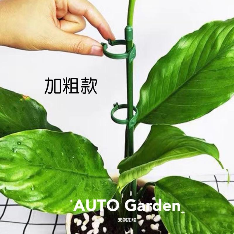 AUTO Garden 現貨! 10支 花箭支架 植物支撐桿 蘭花 蝴蝶蘭 防倒 扶植支架 爬架 花支柱 固定架-細節圖6