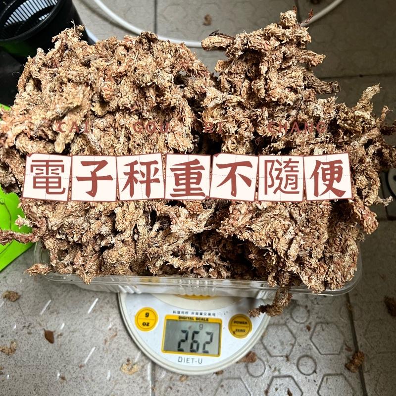 AUTO Garden 現貨!七星級 智利進口水苔 鹿角蕨 蘭花 毛毛蟲水苔 爬蟲底材 水龜底材 爬蟲用品 孵化底材-細節圖6