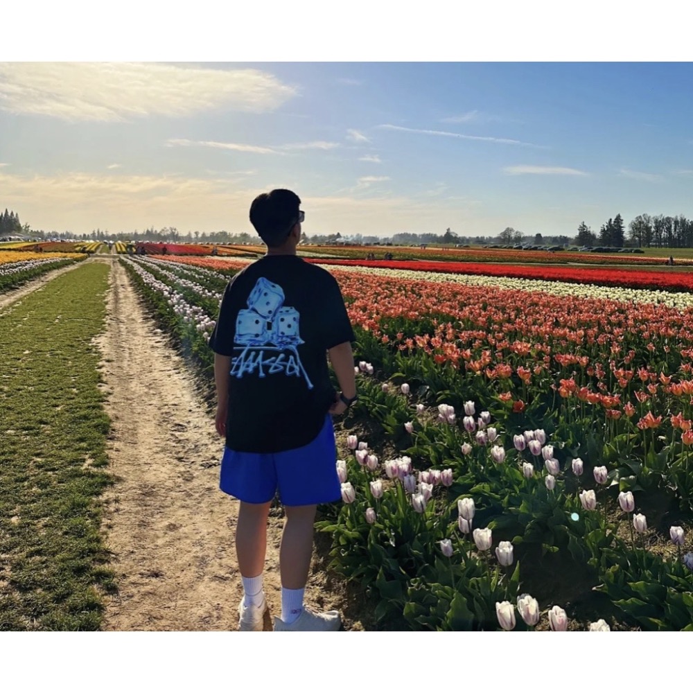 STUSSY MELTED TEE 冰塊🧊 短袖 男女 情侶款-細節圖8