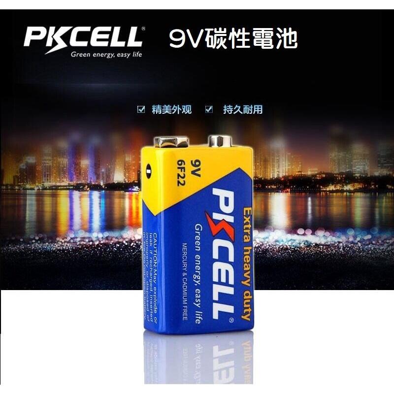 【現貨】9V電池 鹼性電池 碳鋅 環保不漏液 測試儀 尋線儀 萬用表 麥克風 三用電表 勁量 國際牌 可參考-細節圖7