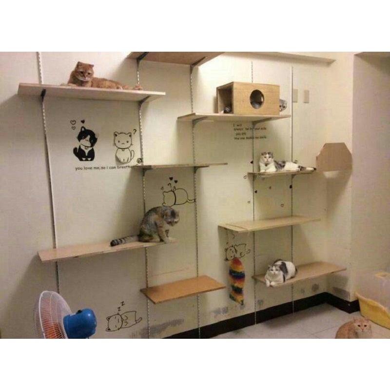 [150CM]壁掛式直立桿 貓跳台 200CM 層板托架-細節圖2