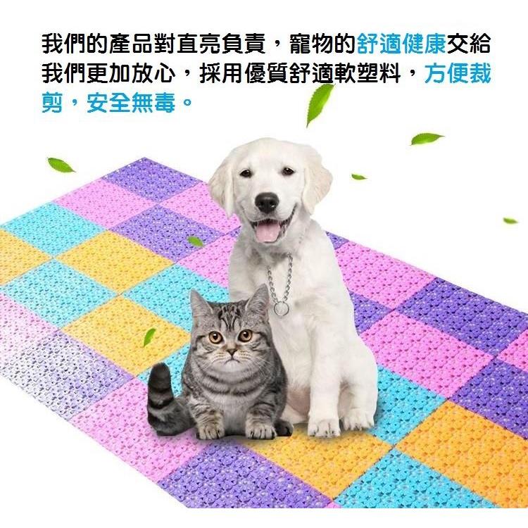 【寵物踏墊 30*20】 圍欄 籠子用踏墊 可裁切 兔子腳掌健康腳墊板 底板 腳踏板 貓狗墊子 網格墊 耐咬 防滑-細節圖2